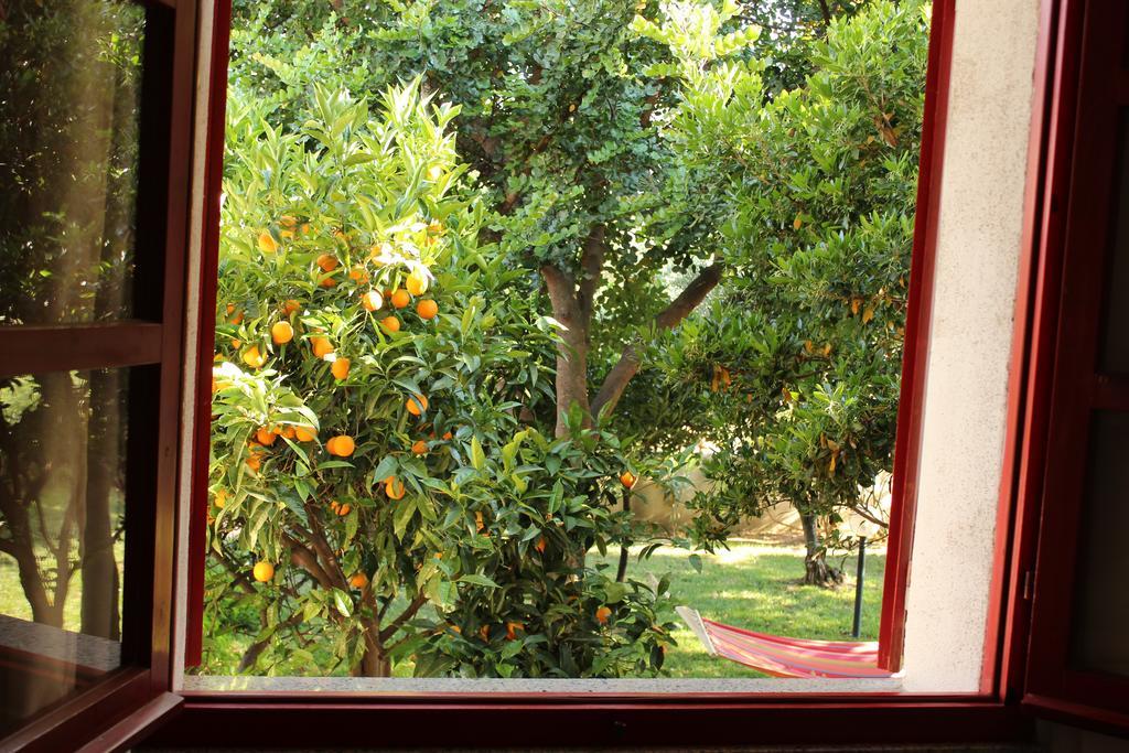 B&B I Mari Torpe Bagian luar foto