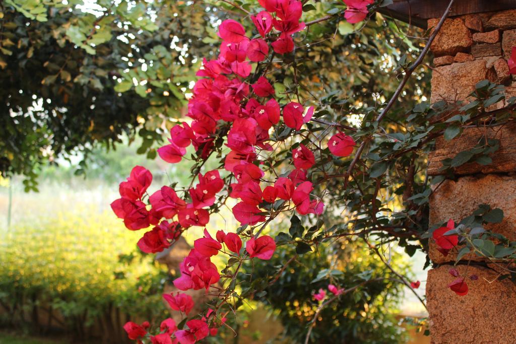 B&B I Mari Torpe Bagian luar foto