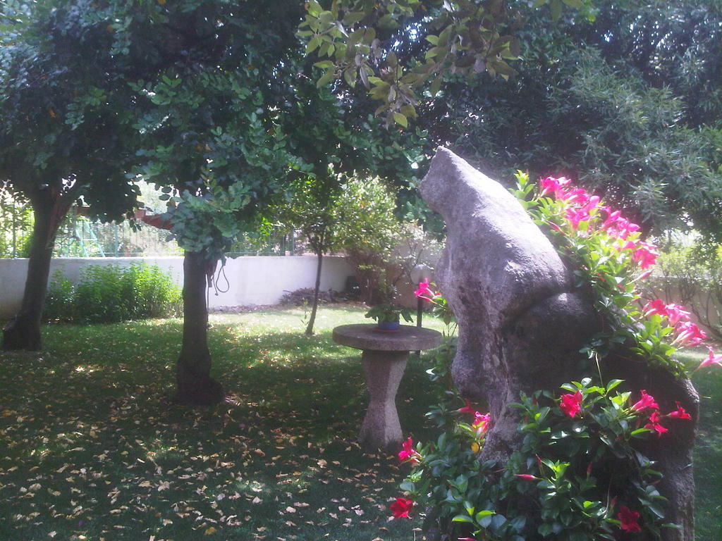 B&B I Mari Torpe Bagian luar foto